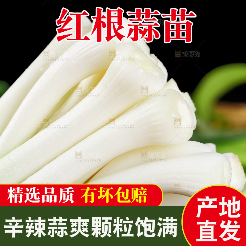 深底上的蒜苗