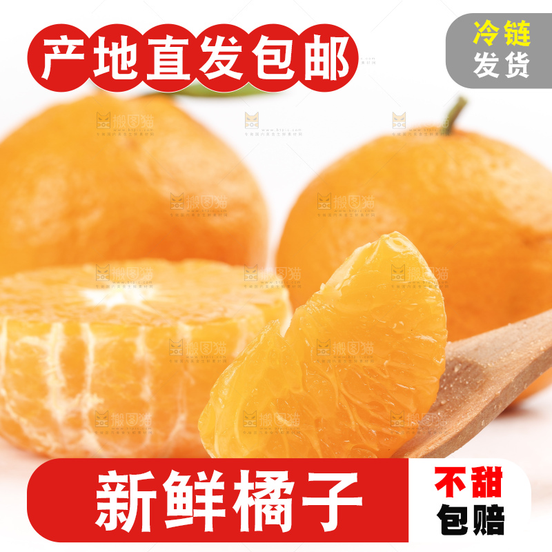 白底上的椪柑橘