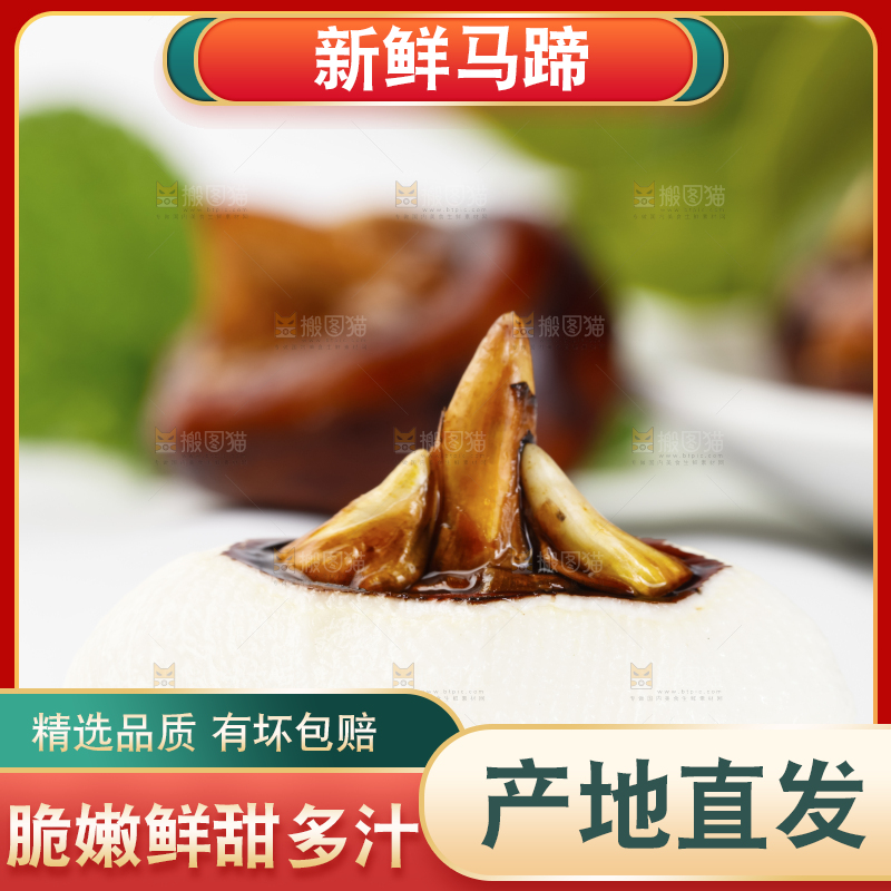浅底上的红马蹄
