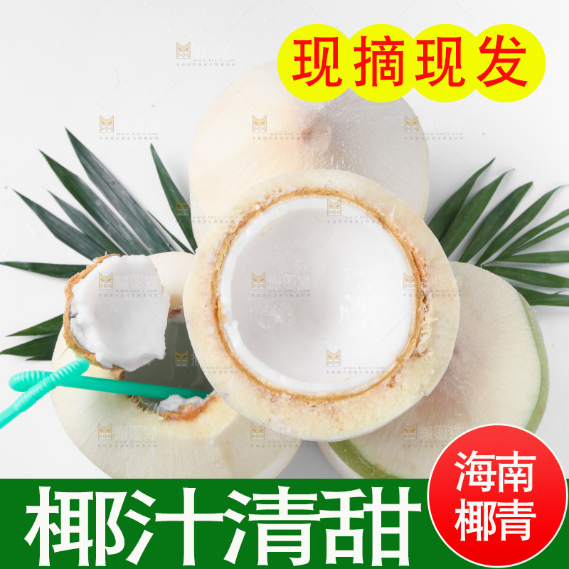 白底上青椰子