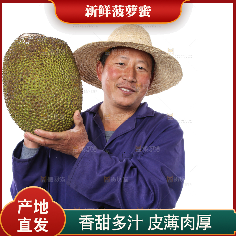 农民手里拿着菠萝蜜