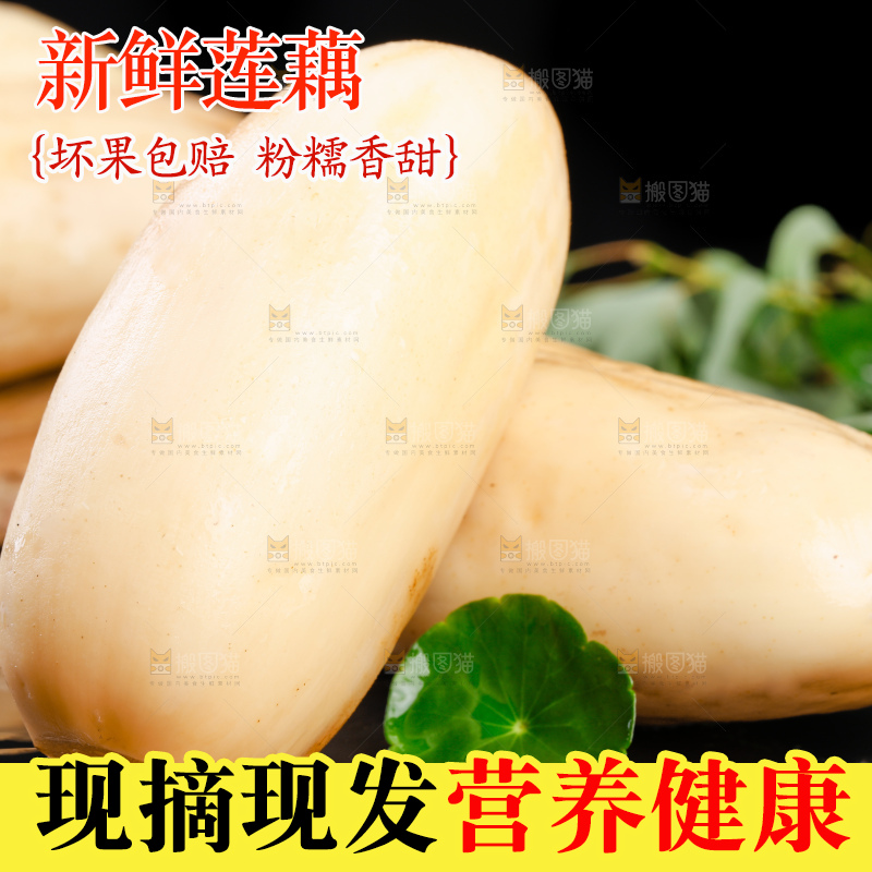 黑底上的莲藕