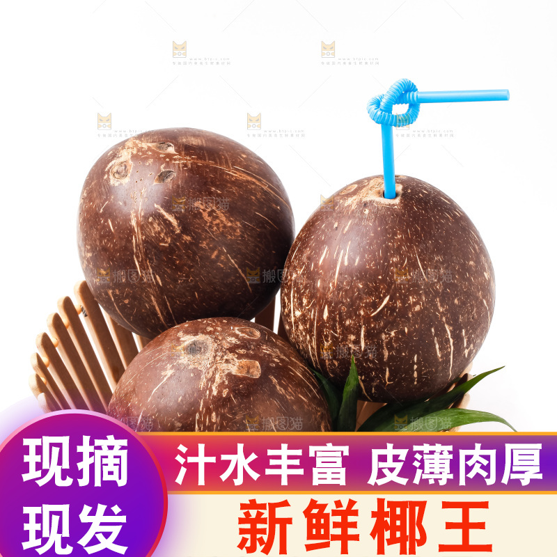 白底上放着椰王