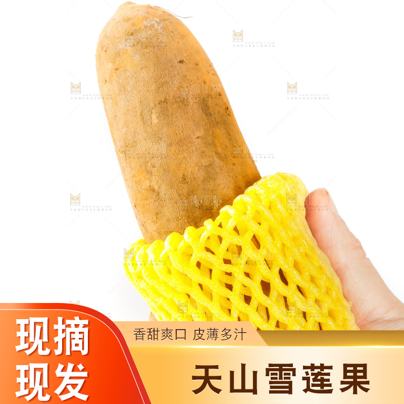 手里拿着雪莲果
