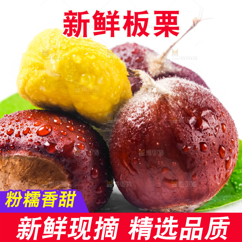 白底上放着迁西板栗