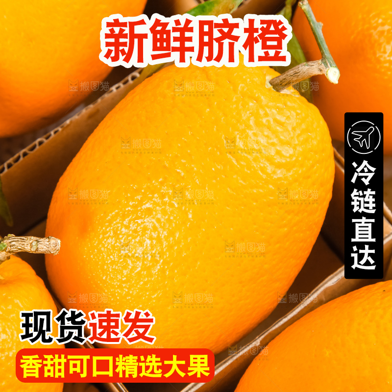 箱子里装着新鲜橙子