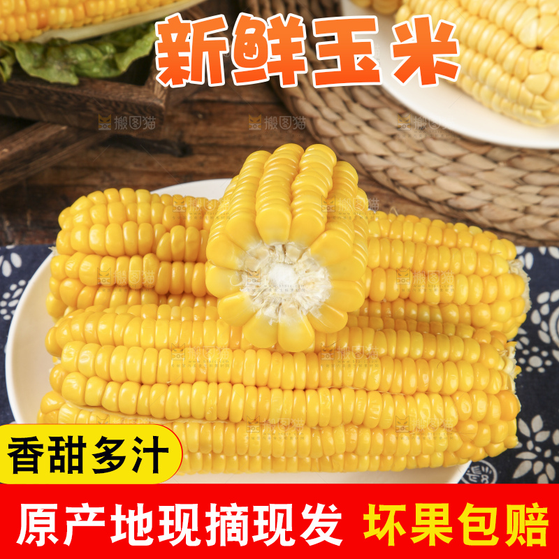 盘子里装着苞米