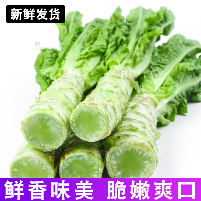 白底上的莴笋