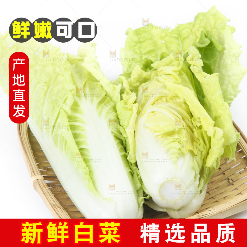 篮子里装着白菜