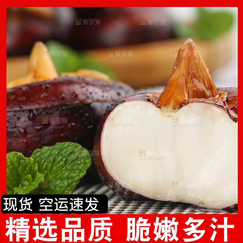 浅底上的马蹄果