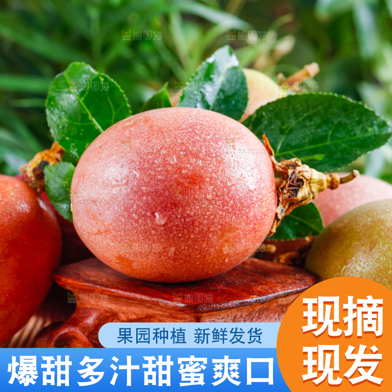 广西百香果放在浅底上