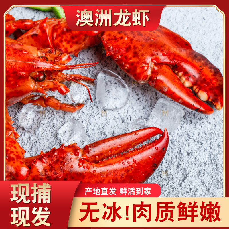 石板上的波士顿大龙虾