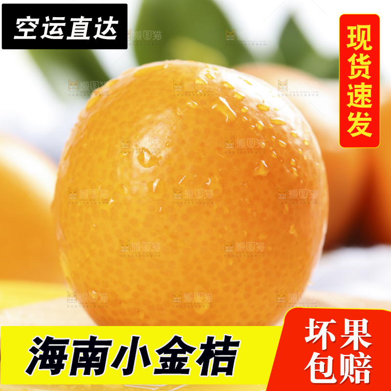 浅底上摆放着金桔