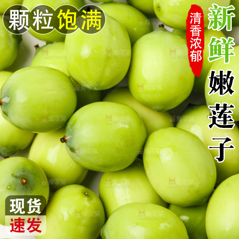 白底上放着湖北新鲜嫩莲子