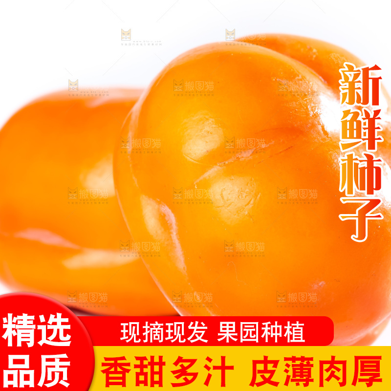 白底上放着磨盘柿