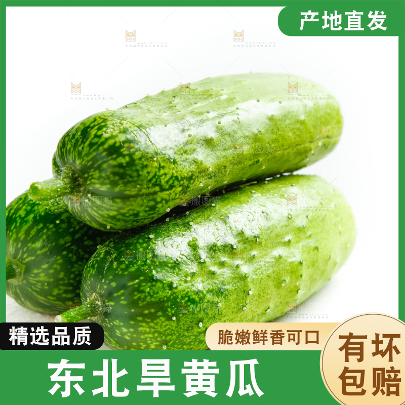 白底上放着新鲜旱黄瓜