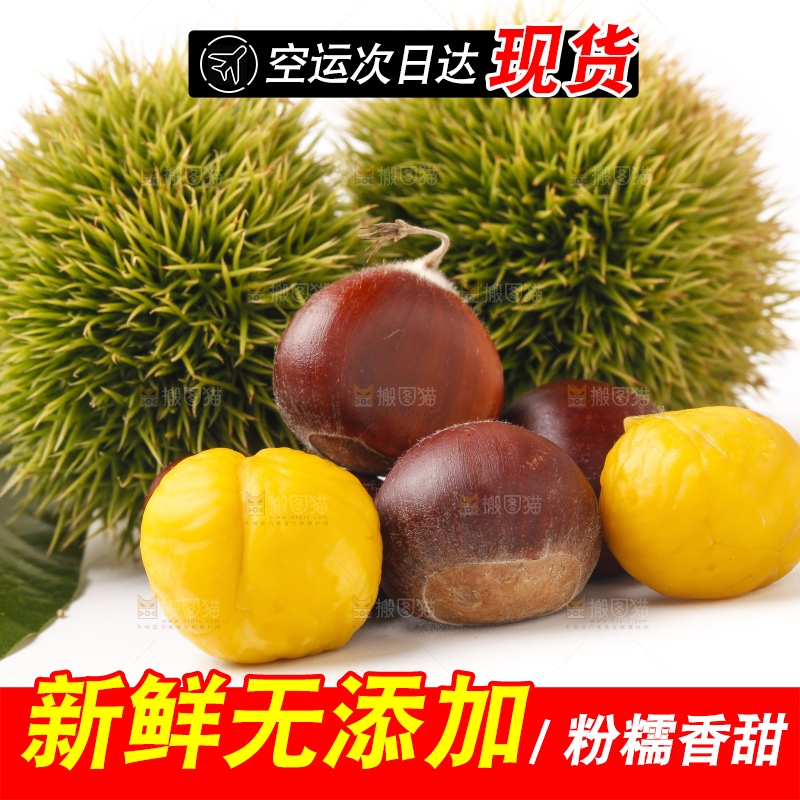 白底上摆放着迁西板栗