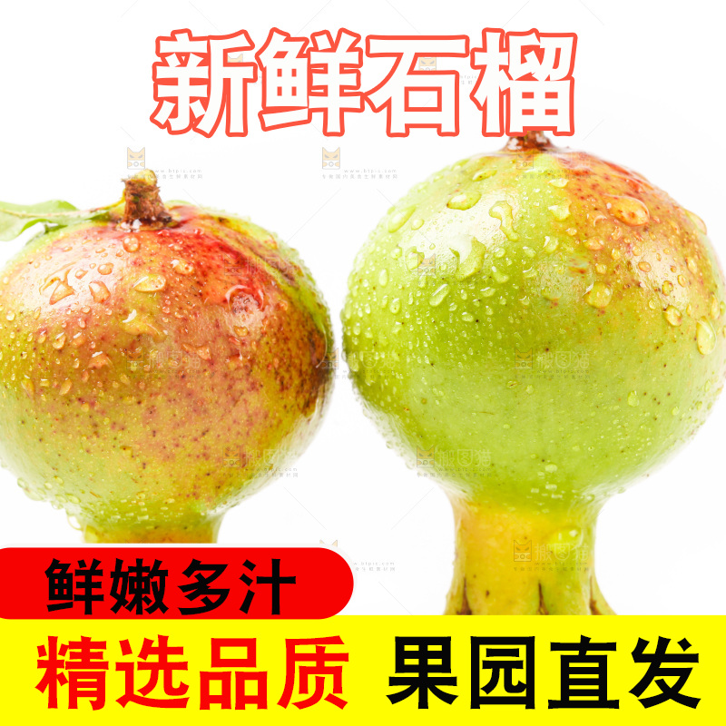白底上的新鲜石榴