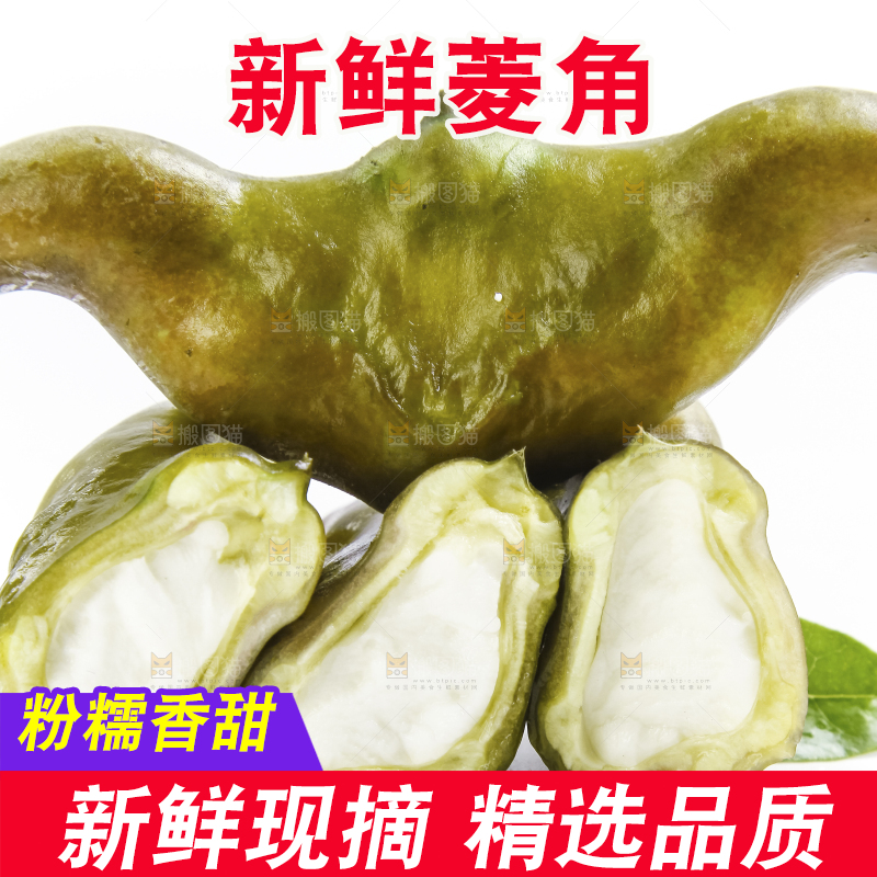 白底上的新鲜菱角