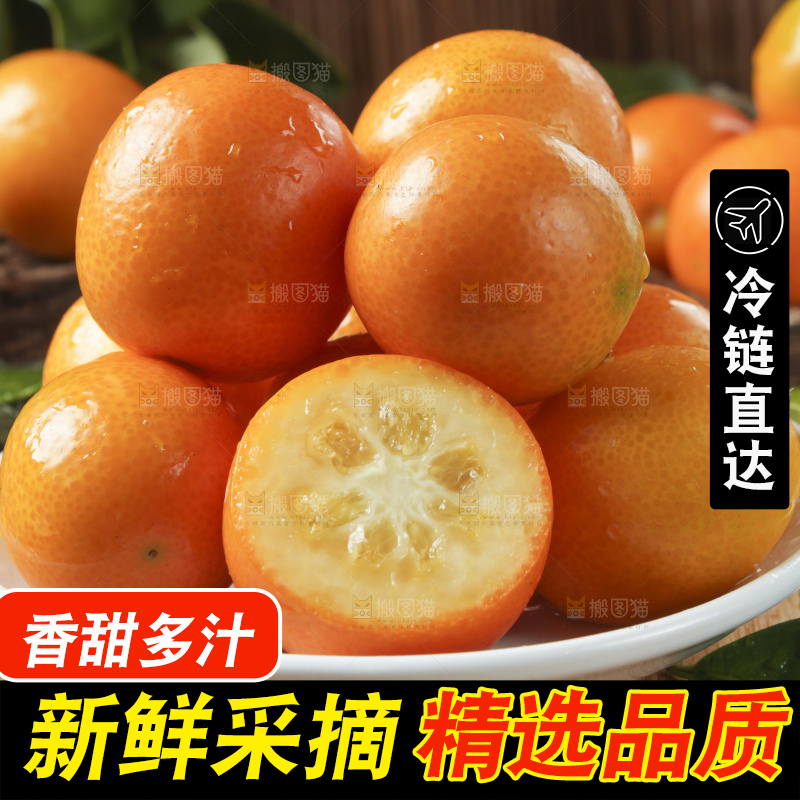 盘子里装着小金桔