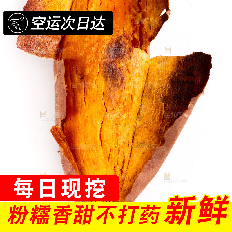 白底上的红薯