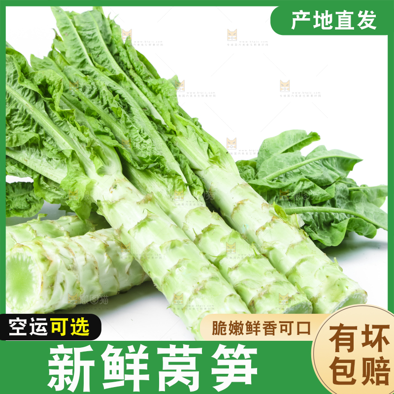 白底上的莴笋