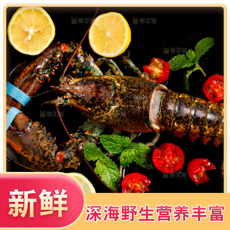 深底上放着澳洲龙虾