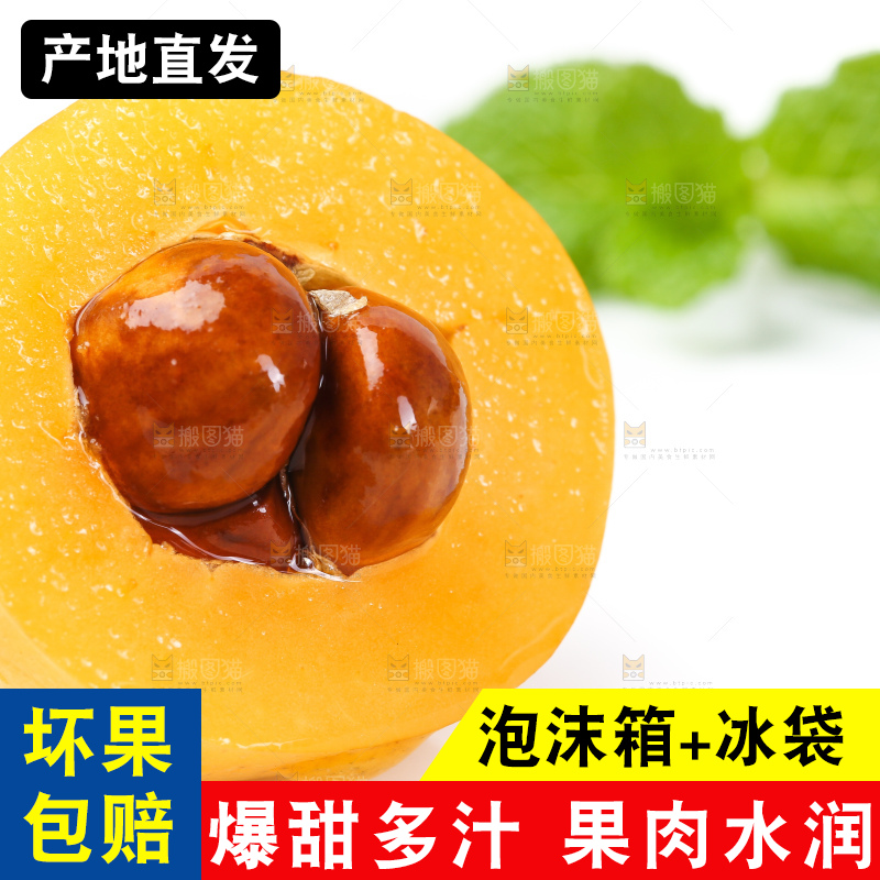 白底上的枇杷