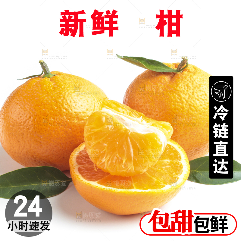 白底上的椪柑