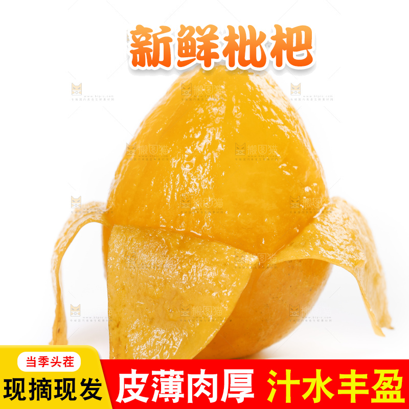 白底上的米易枇杷