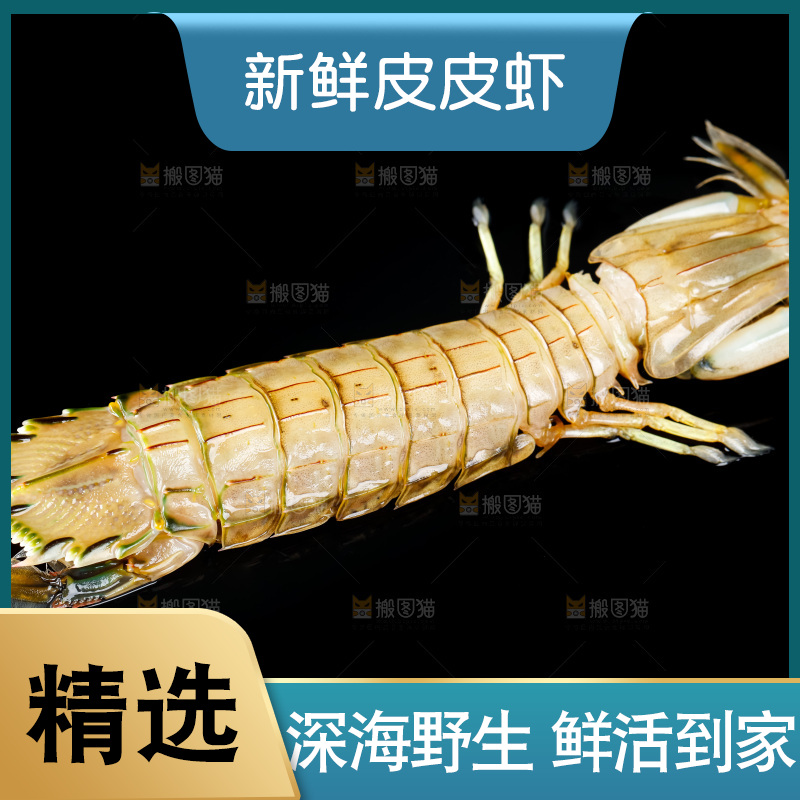 黑底上摆放着舟山皮皮虾