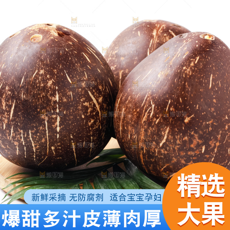 白底上放着椰王