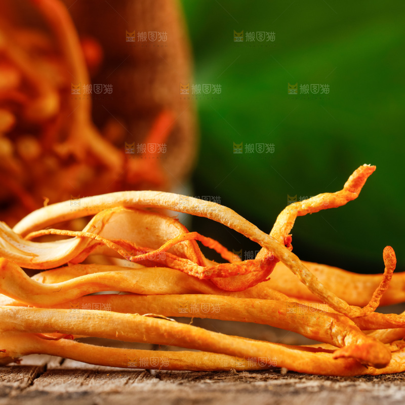 深底上的虫草花