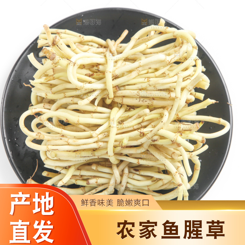 盘子里装着湖北鱼腥草