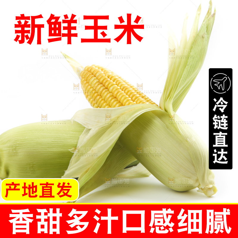 白底上放着黄玉米