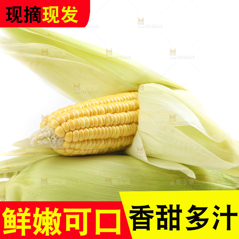 白底上放着黄玉米