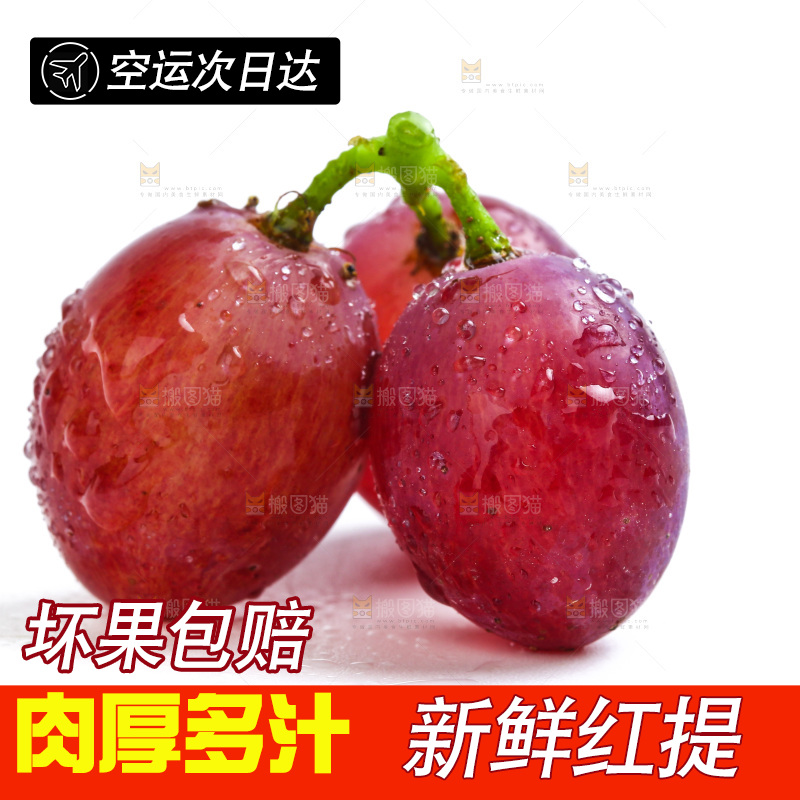 新鲜提子放在白底上