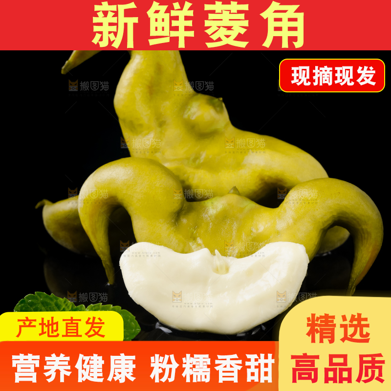 黑底上的菱角