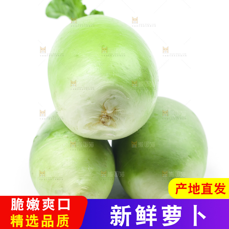 白底上放着青萝卜