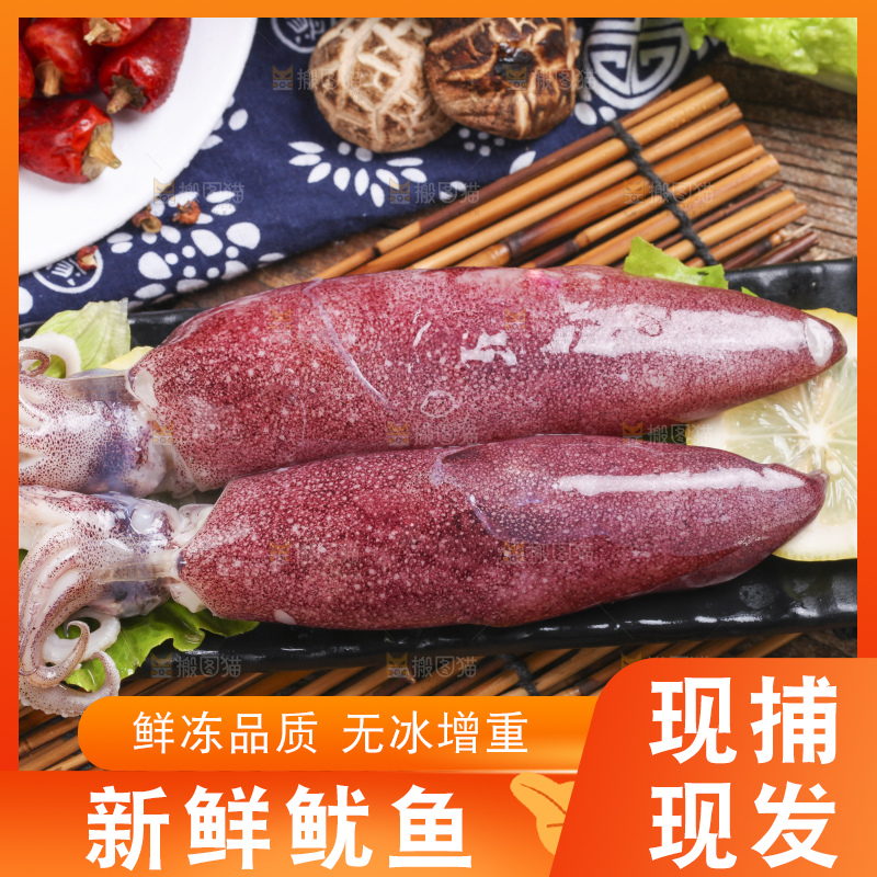 竹底上的生鲜鱿鱼