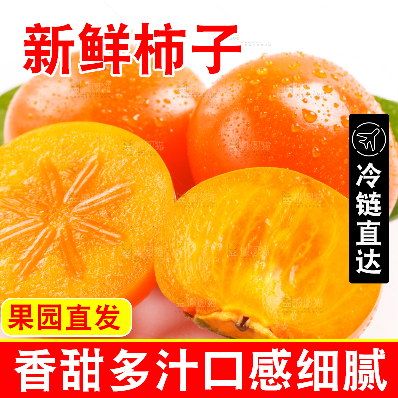 浅底上的大柿子