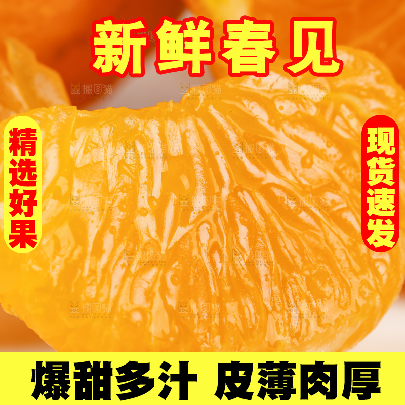 浅底上的春见耙耙柑