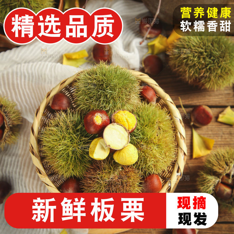 篮子里的迁西板栗