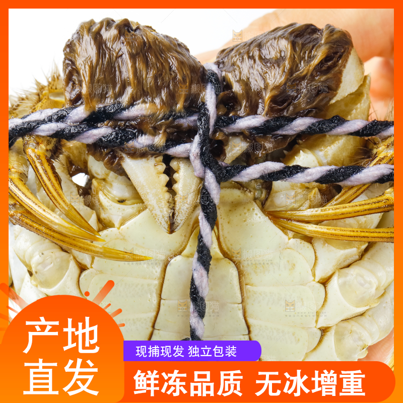 手里拿着鲜活螃蟹