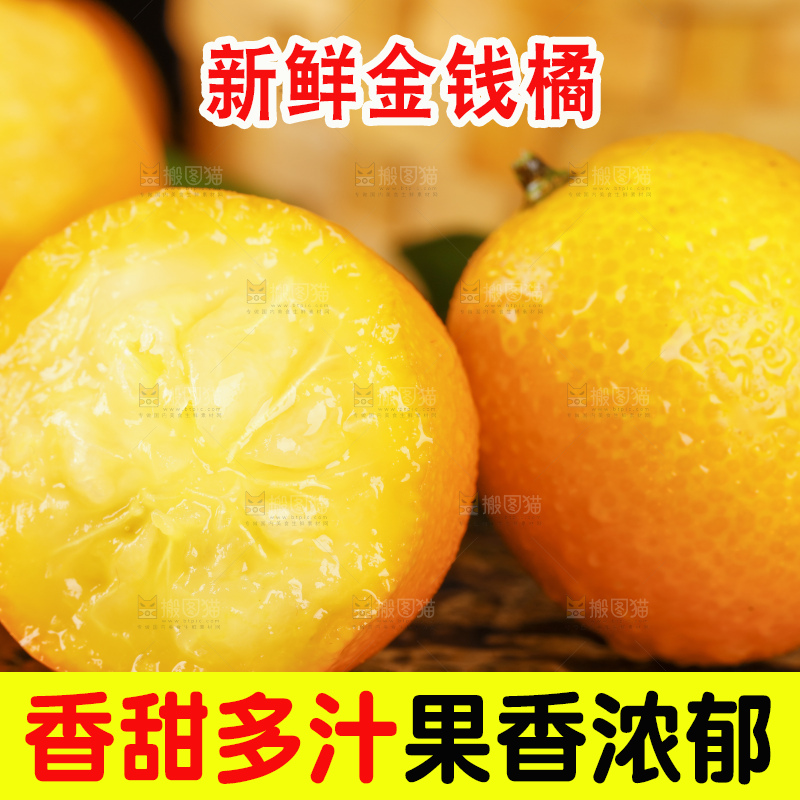 黑底上的小金桔