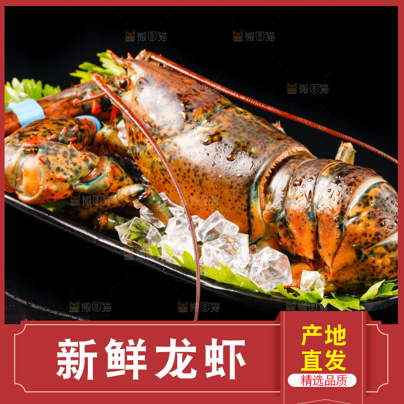 黑底上放着一盘大龙虾