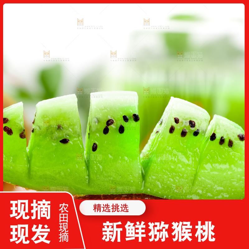 木底上的周至绿心猕猴桃