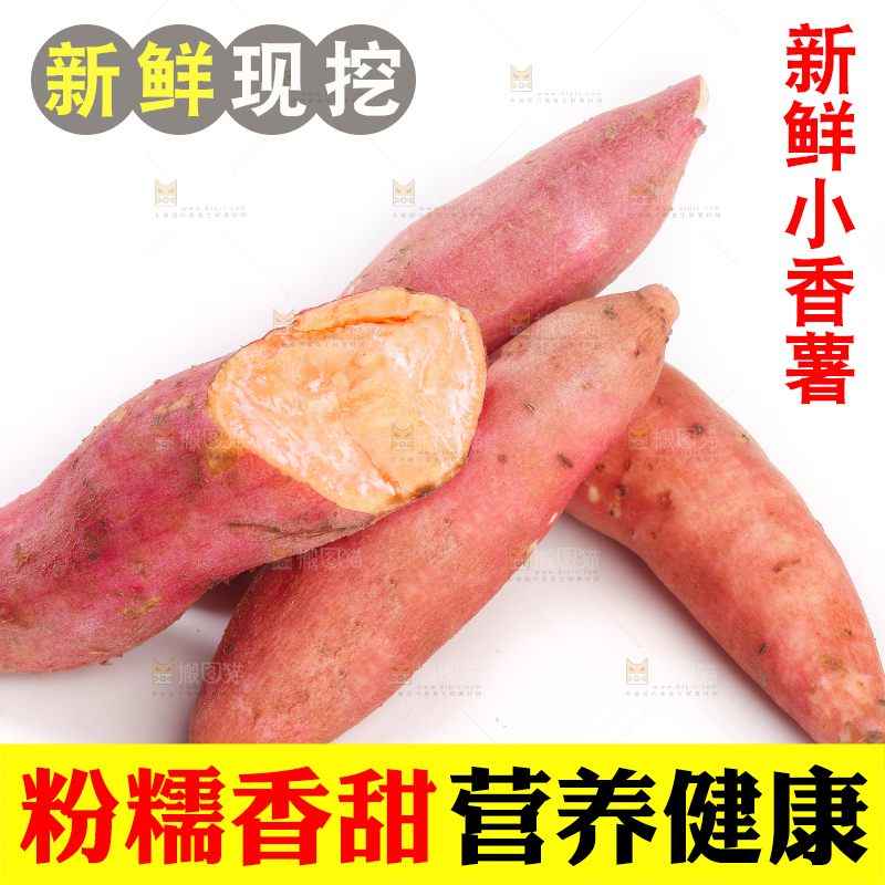 白底上的沙地板栗蜜薯