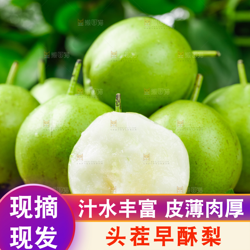 浅底上放着早酥梨