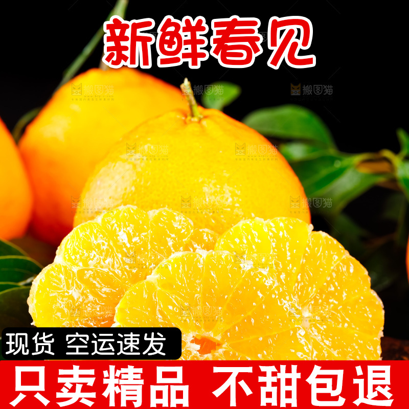 深底上的春见柑桔